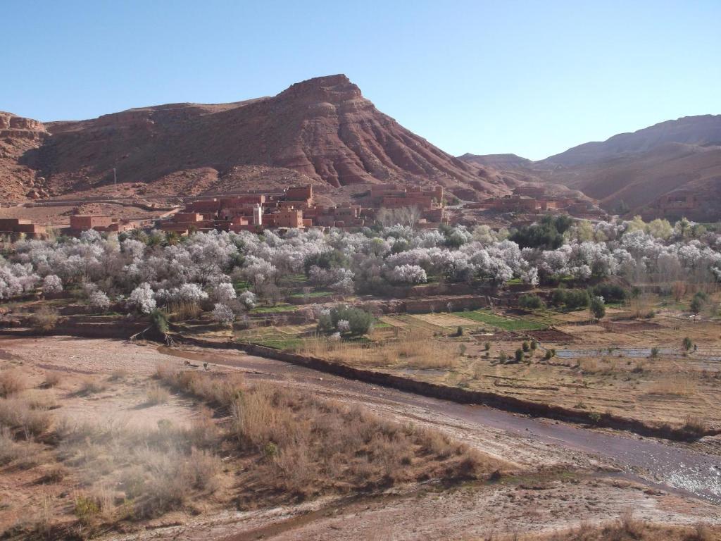 Kasbah Ounila Hotell Aït Benhaddou Eksteriør bilde